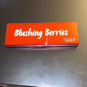 Dose Of Colors Blushing Berries palette